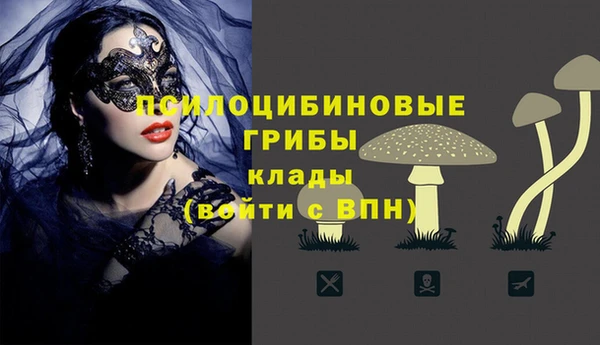 индика Волосово