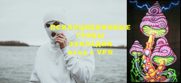 винт Верея