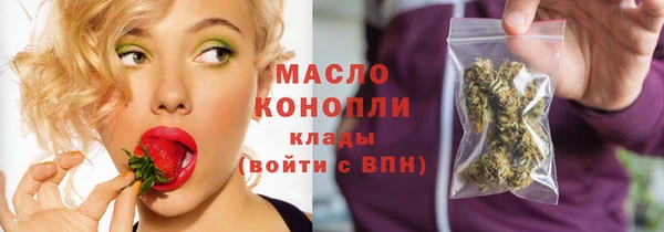 индика Волосово