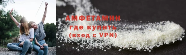 индика Волосово