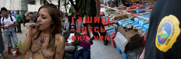 индика Волосово